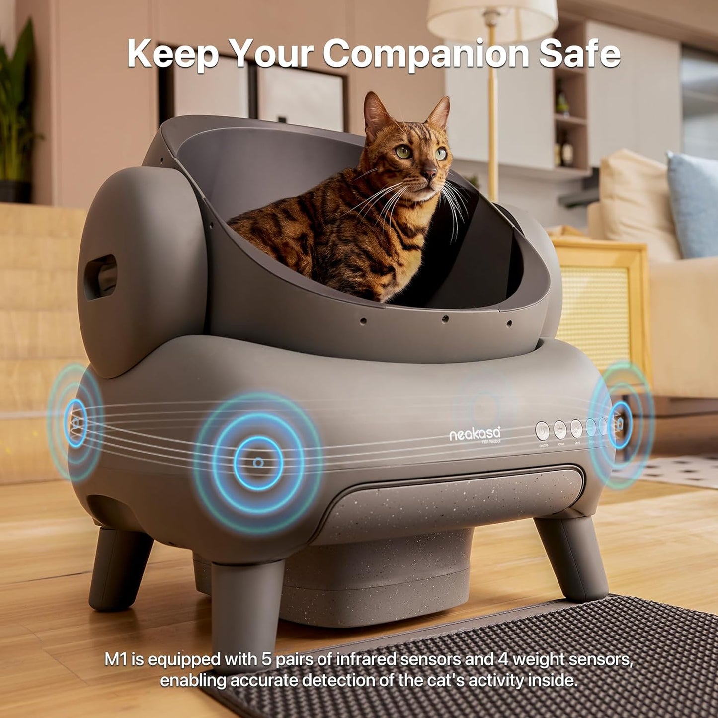 Smart Self-Cleaning Litter Box - Open Design & Odor Control