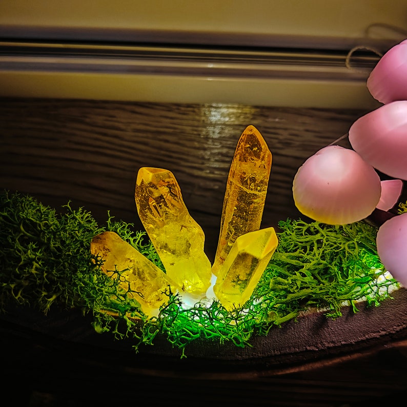 Enchanted Forest Mushroom Lamp - Warm Glow Night Light Gift