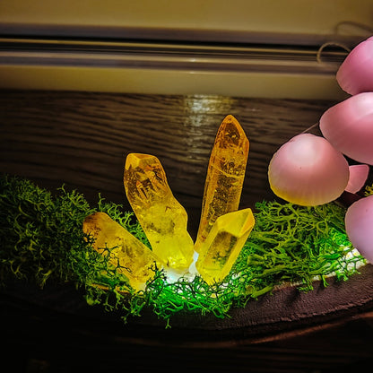 Enchanted Forest Mushroom Lamp - Warm Glow Night Light Gift