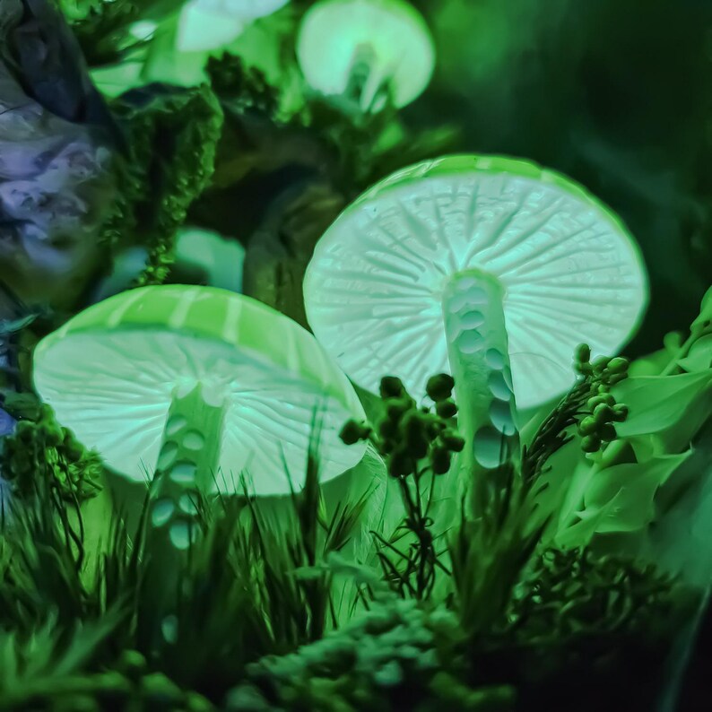 Enchanted Mushroom Wall Lamp – Handcrafted Night Light & Room Decor