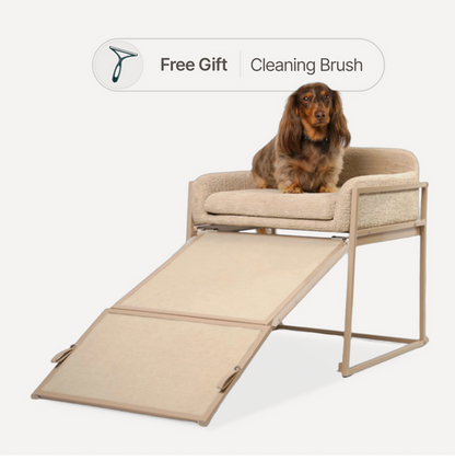 Pet Office Chair Companion - Cozy Elevated Bed for Your Furry Friend 🐾